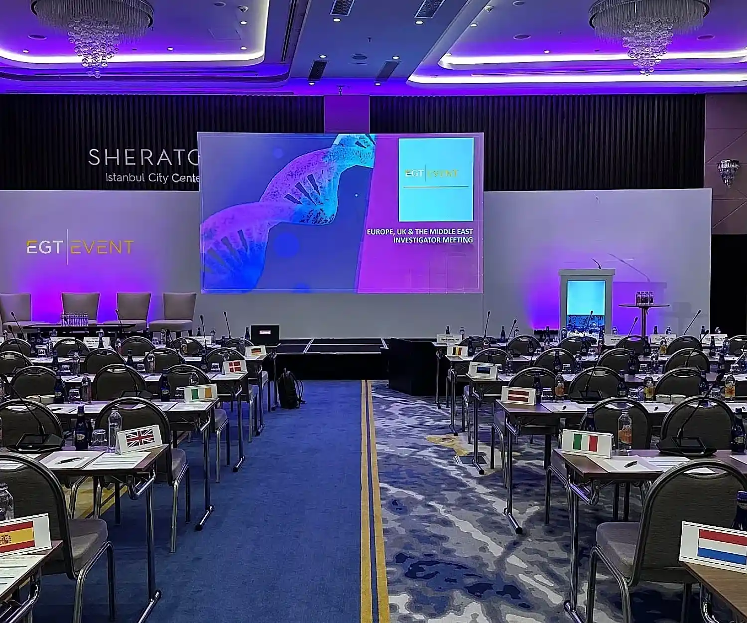 Organizasyon Şirketi