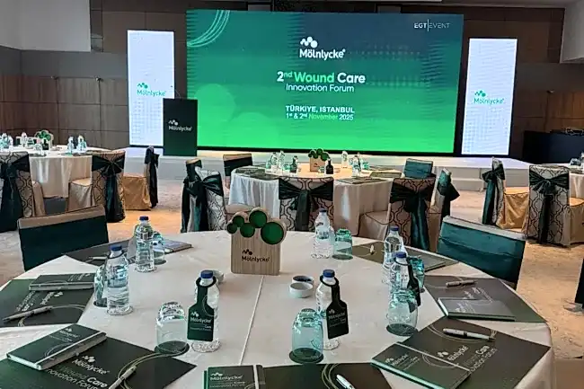 Kurumsal Organizasyon